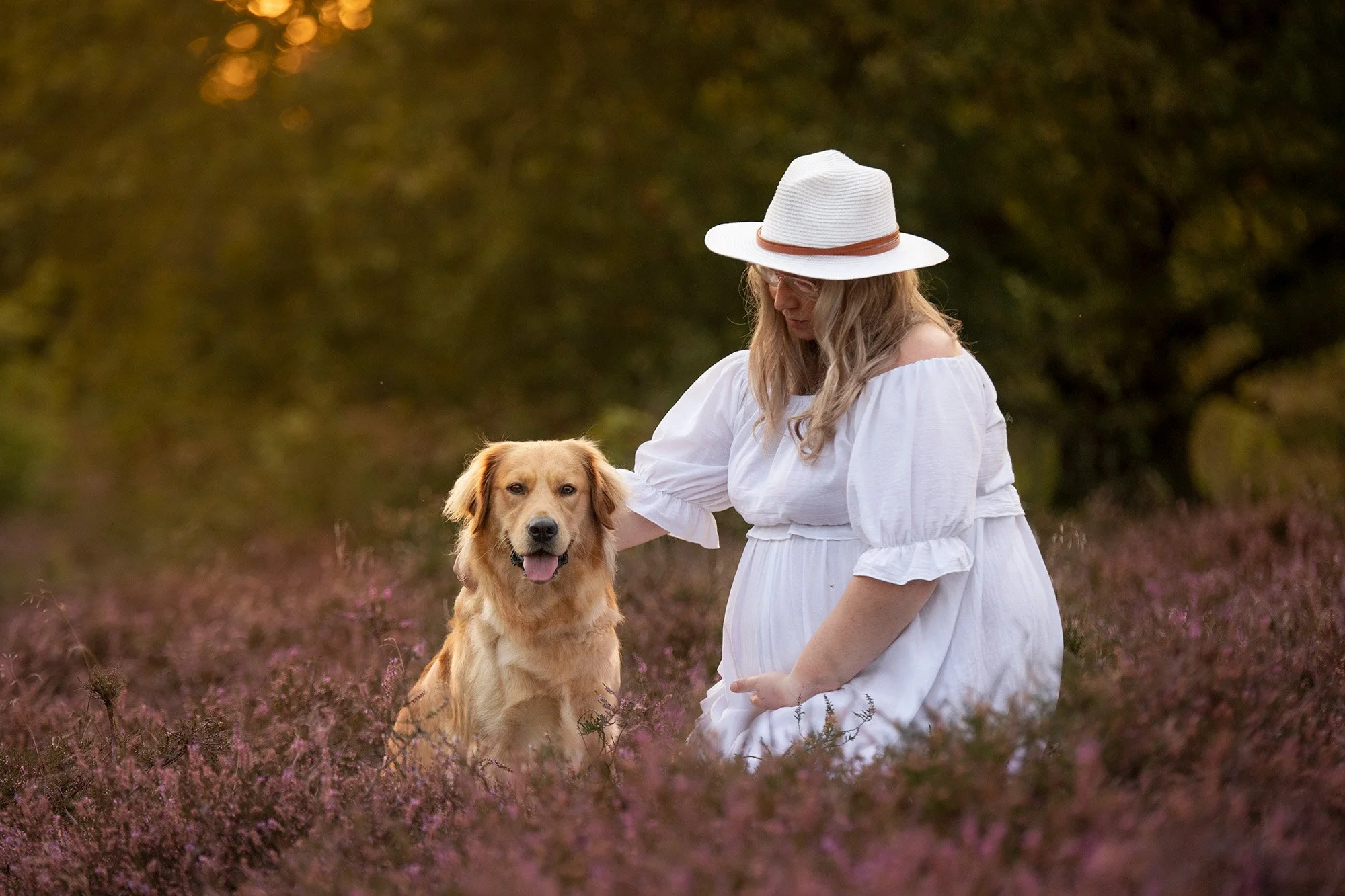 Een golden retriever en een zwangere vrouw in een witte jurk poseren samen in de heide voor een foto door Hondenfotograaf Frieland.