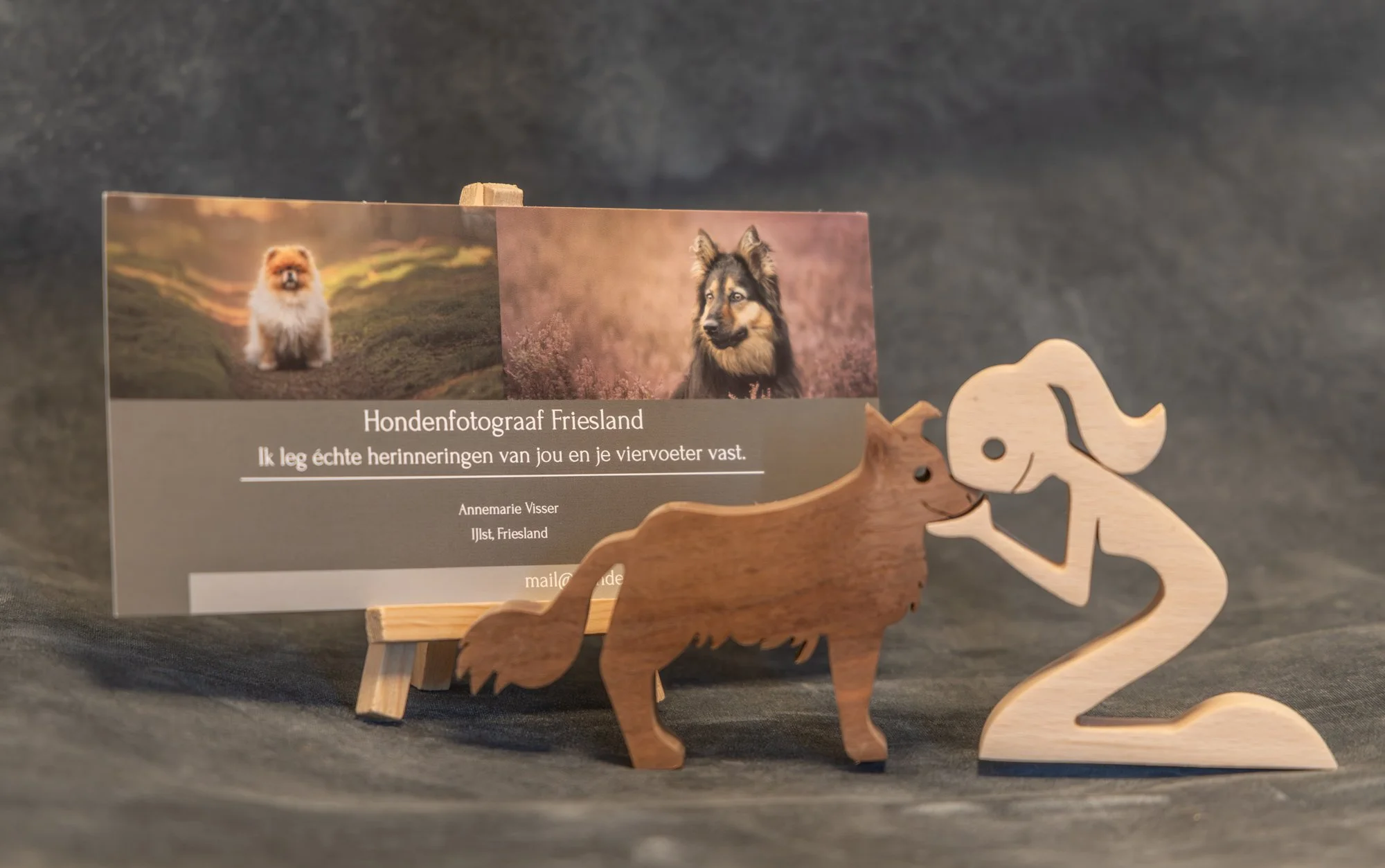 hondenfotograaf-friesland-cadeaubon-met-honden.jpg