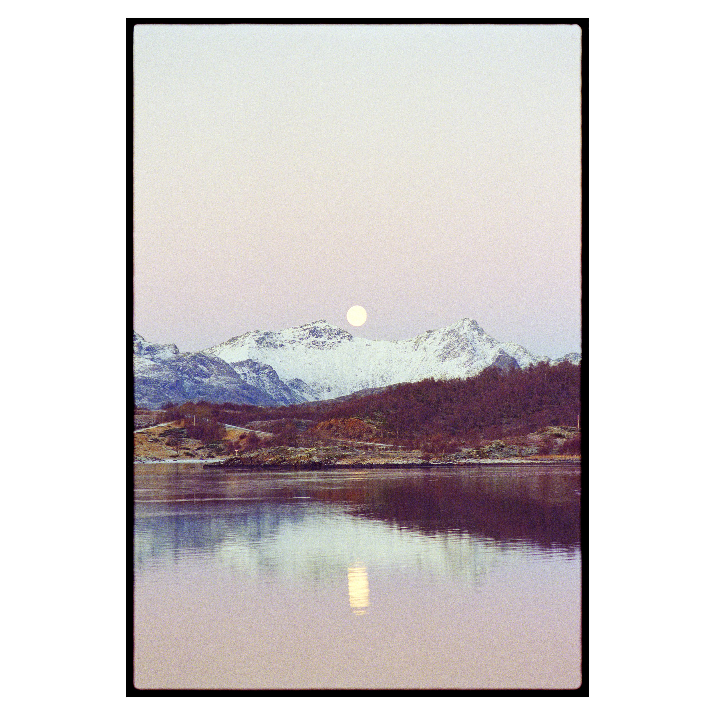 Pink Moon - Print