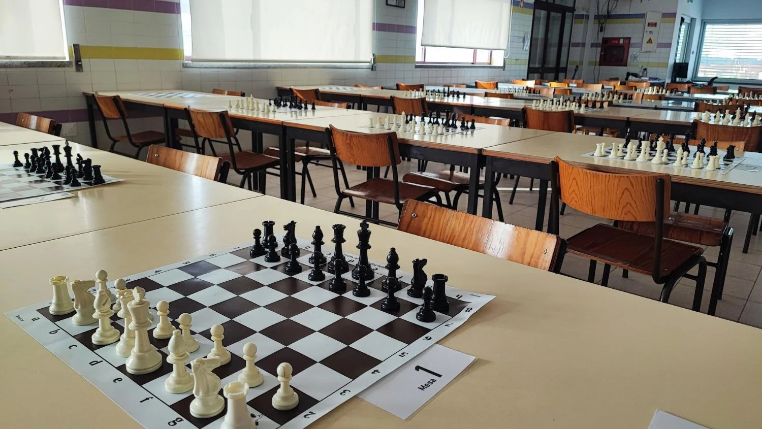 Chess Academy Options for Young Players