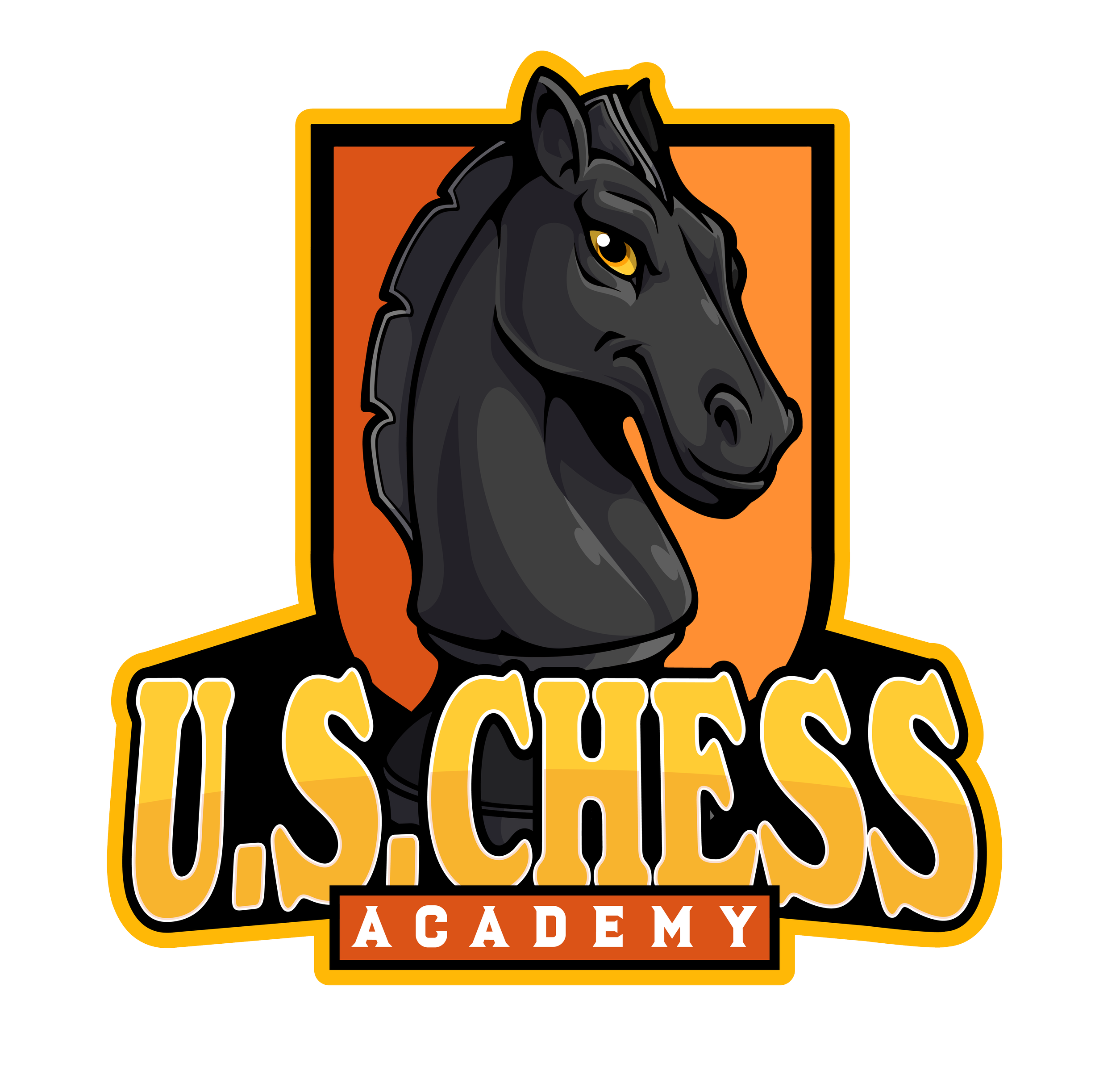 Expert Tournament Coaching