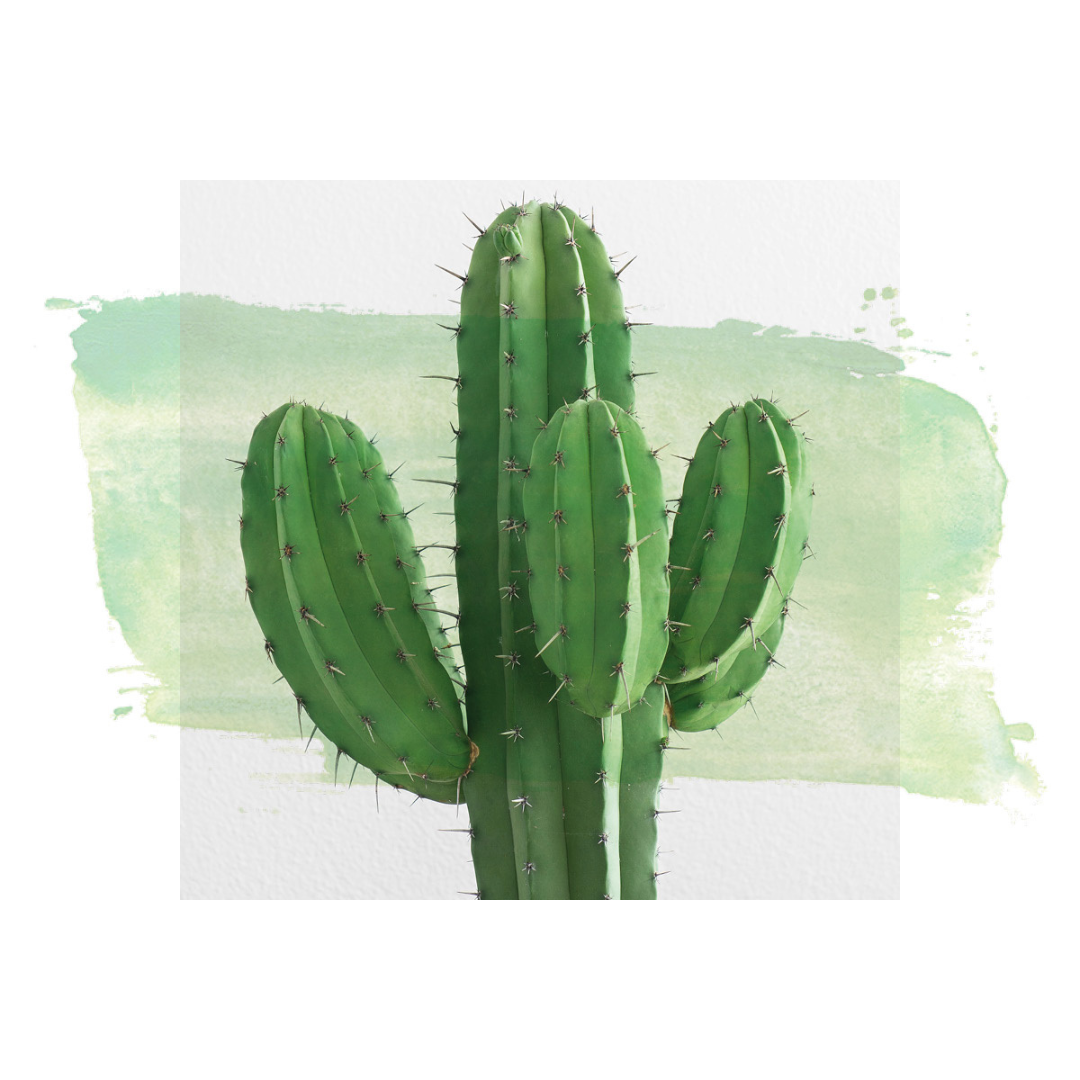 Who Really Gets to Decide What is a Safe Space?