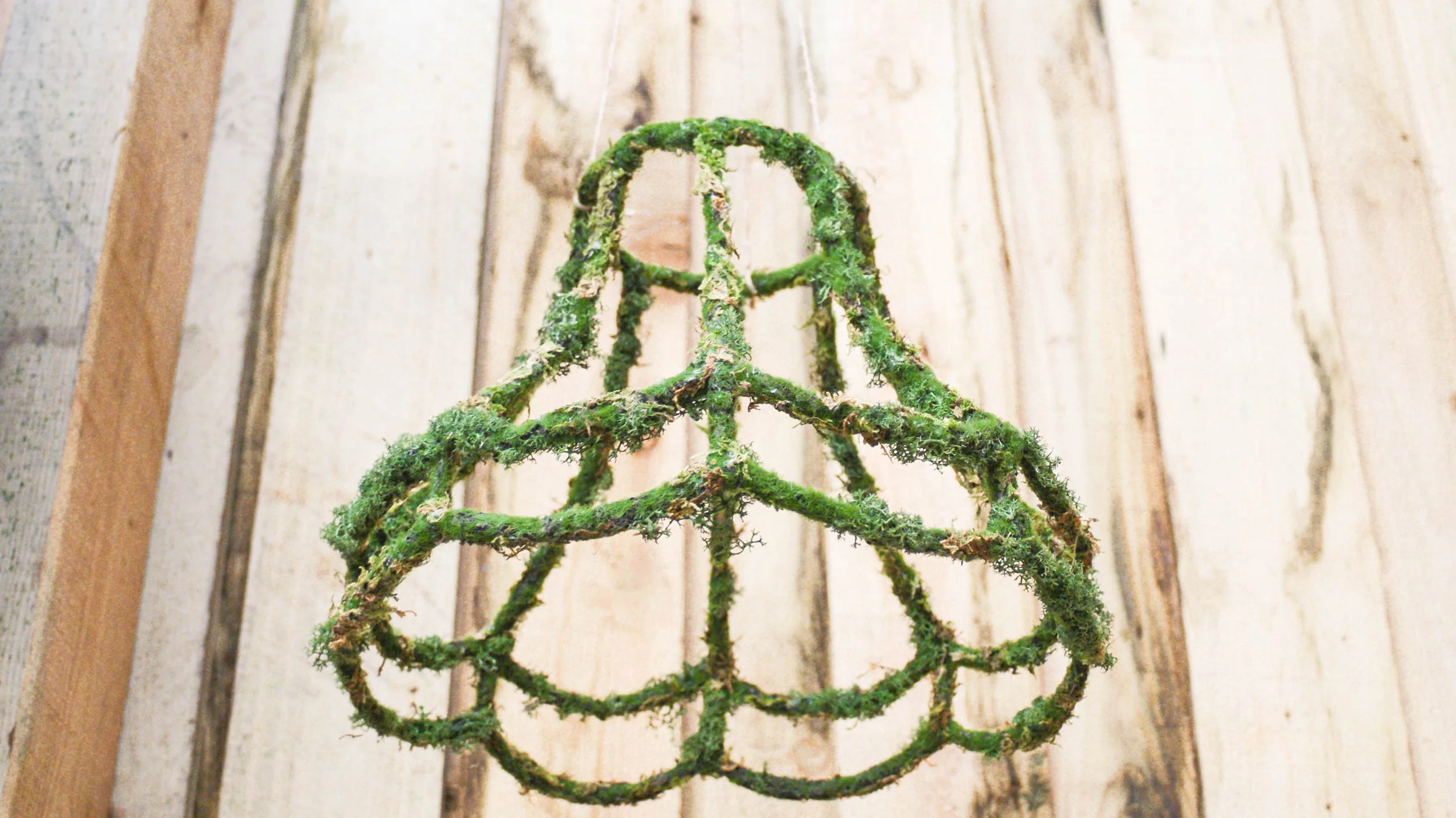 Scalloped lampshade covered in moss and lichen.jpg