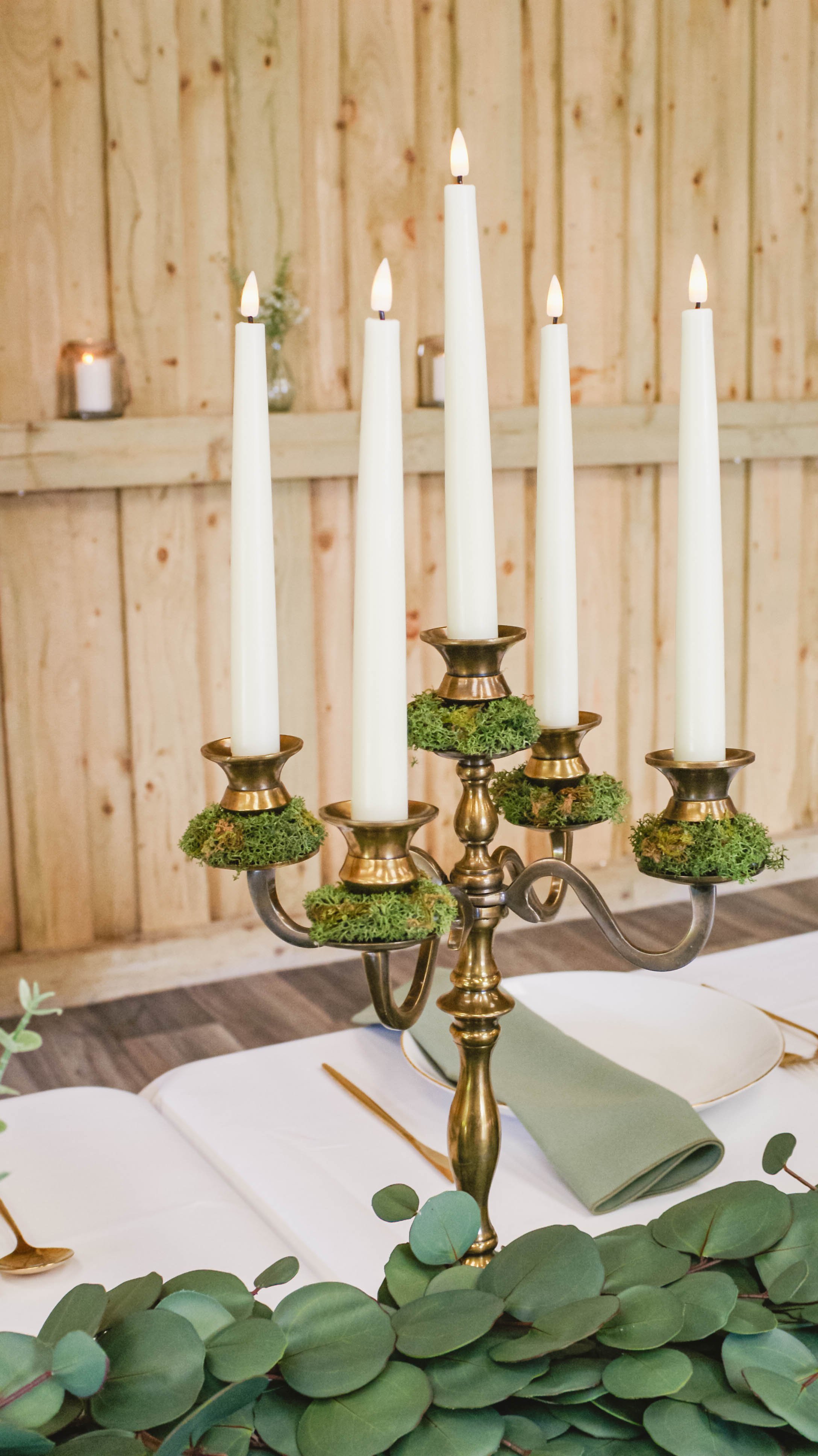 Moss rings on candelabra.jpg