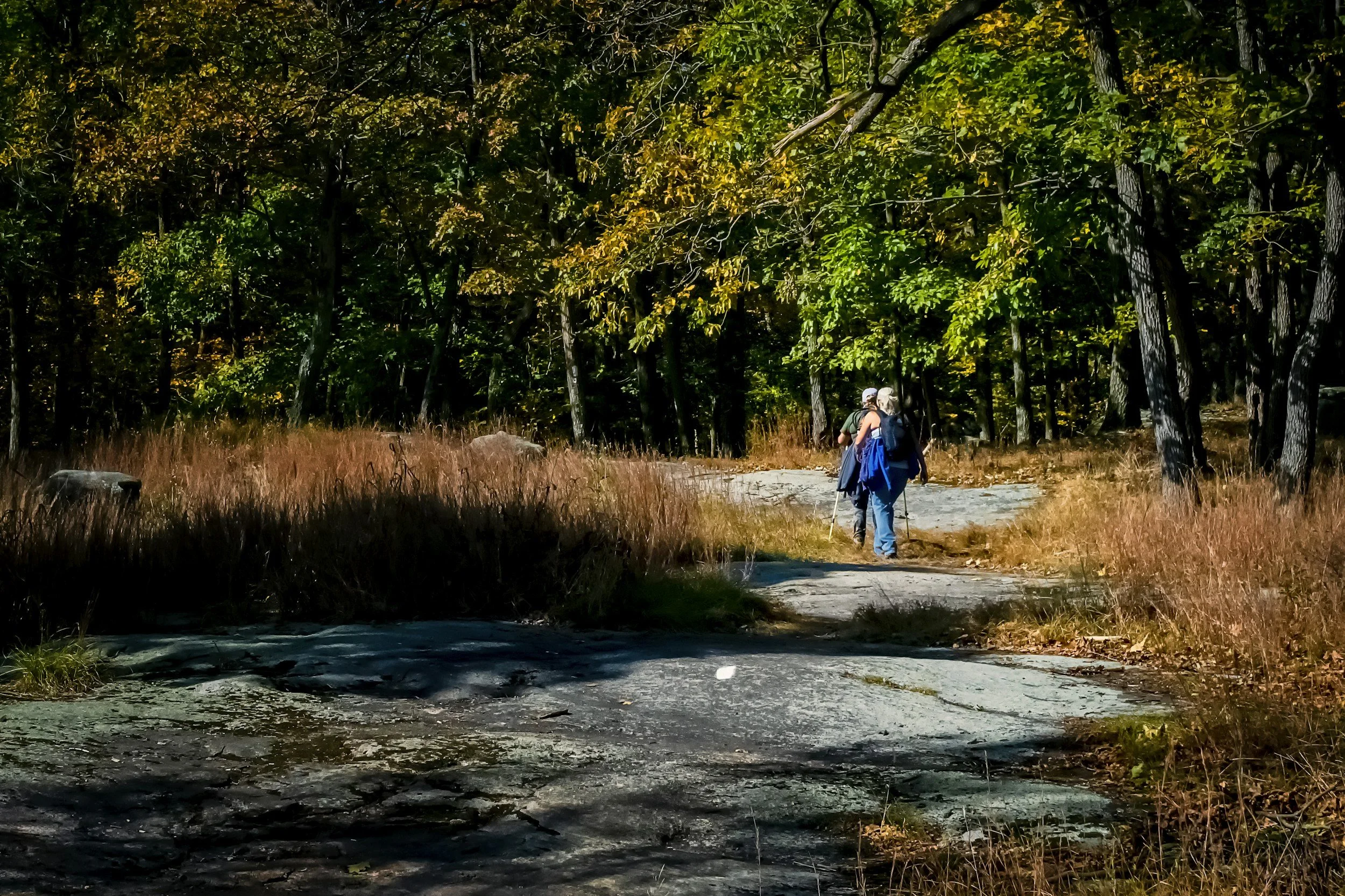 Why Fall Is the Best Time to Reset Your Health Habits (And How to Make It Stick)