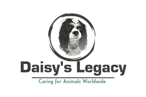 daisys-legacy.png