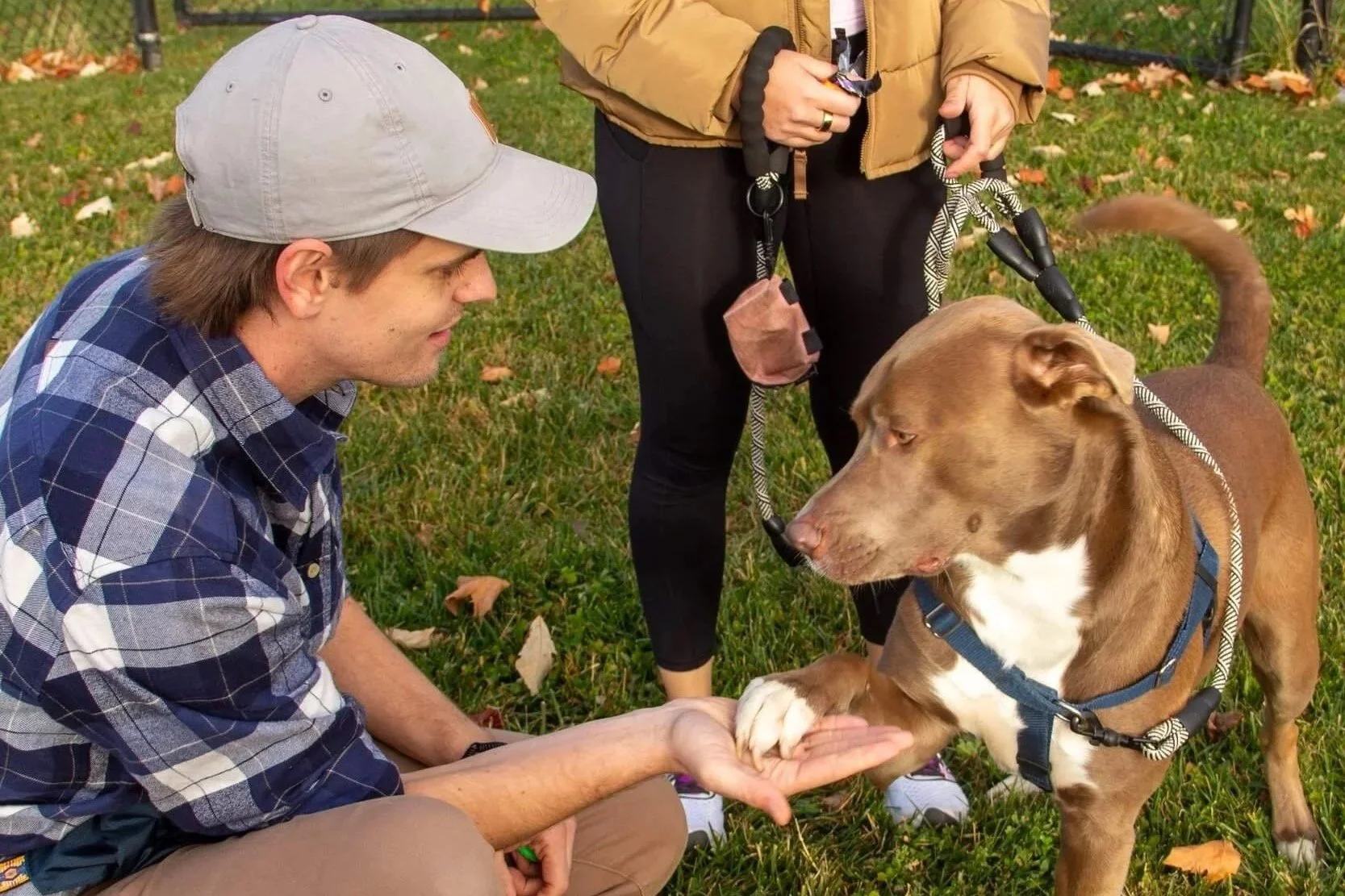Ian Kilgore (CPDT-KA, PMCT-2, FPPE, FFCP, CGC Evaluator} squats down to hold a dog's paw, engaging in a training.
