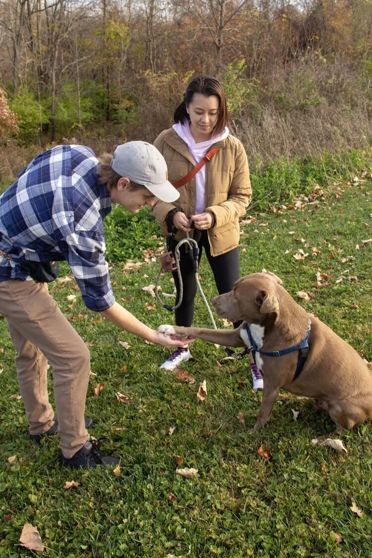Positive Reinforcement Dogs With Leash Aggression Training Dealing