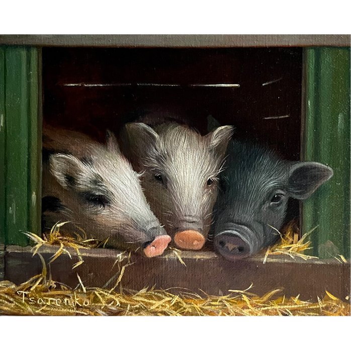 Three piglets