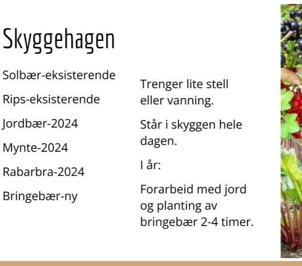 Kj%C3%B8kkenhage+og+uteomr%C3%A5de%2C+barnehage.jpg