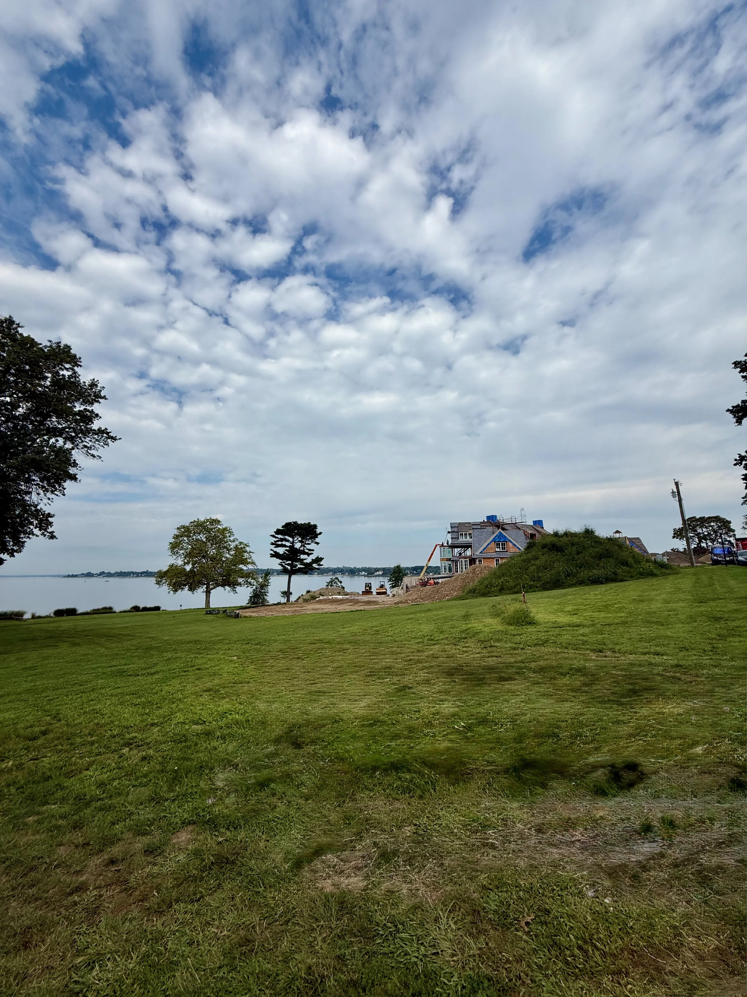 IMG_7950.jpeg