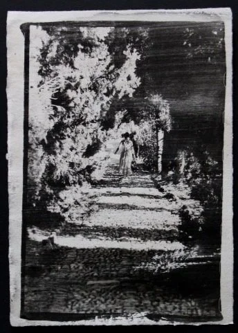 Jardin Hanbury, la Gradiva, 2, papier chiffon