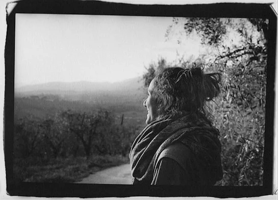 Toscane, dans l'oliveraie, papier chiffon