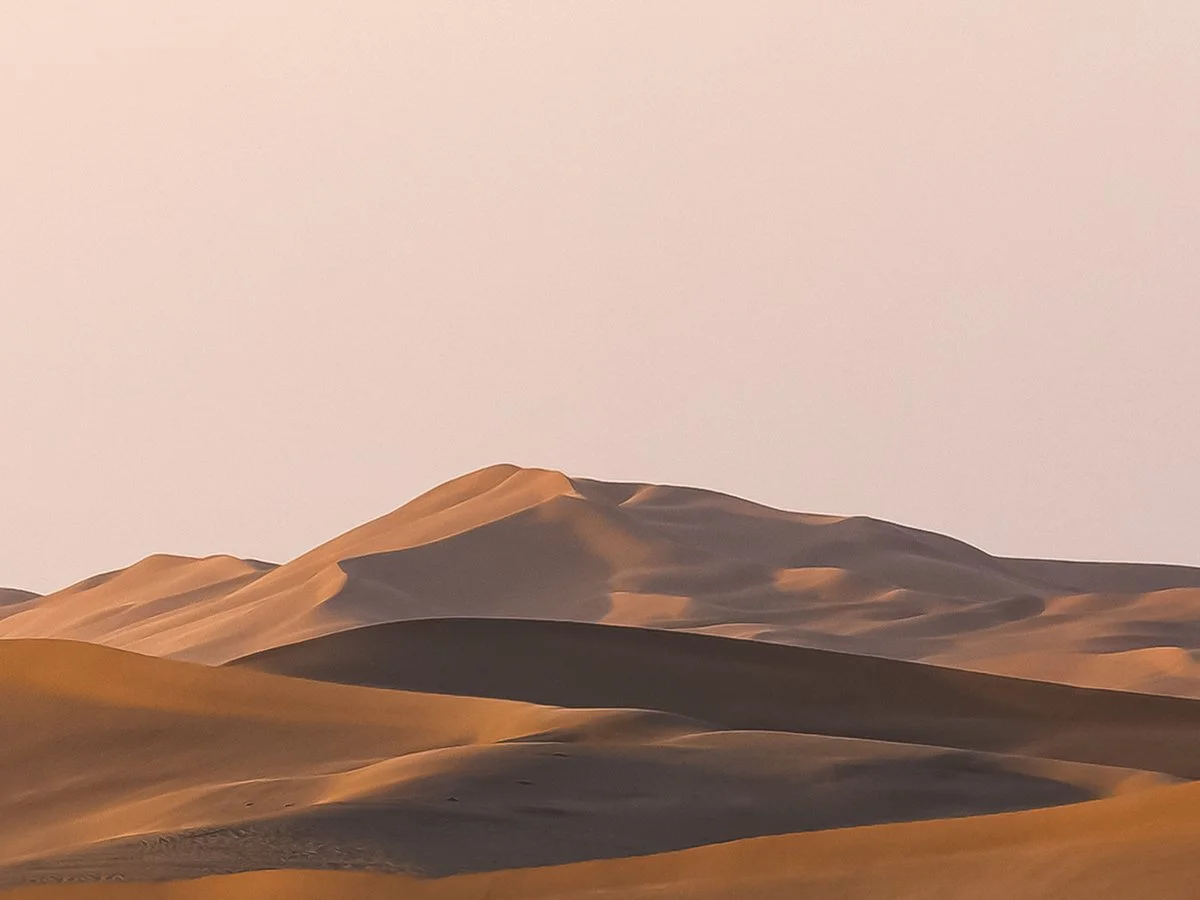 Desert landscape with sand dunes and a pinkish sky.