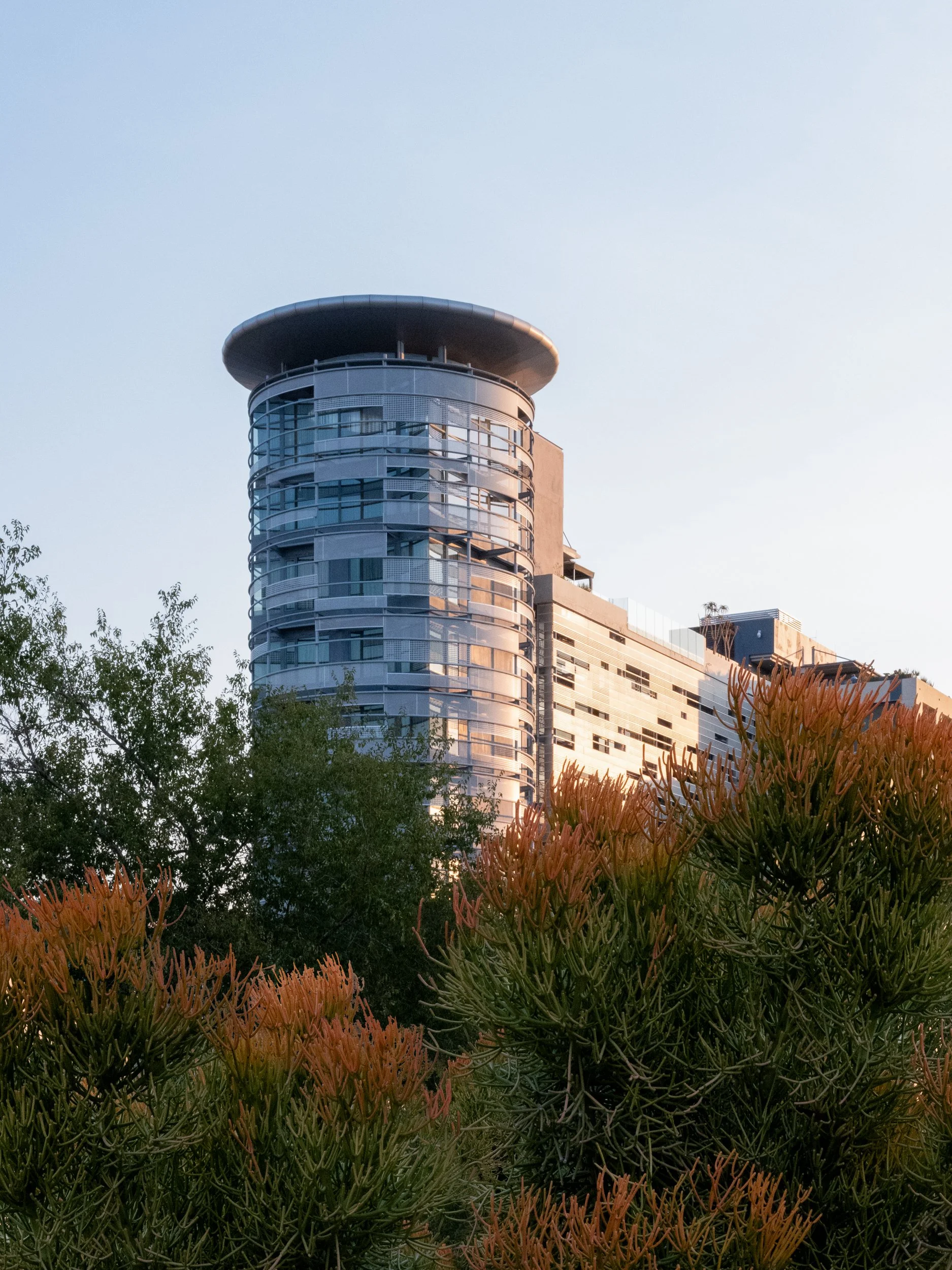 Modern high-rise building with a rounded top, partially obscured by green and orange foliage, under a clear sky.
