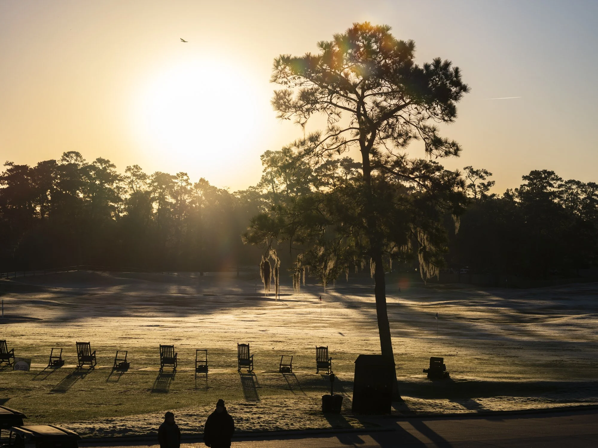 Sunrise over a golf course with a large tree and a few people walking, casting long shadows.