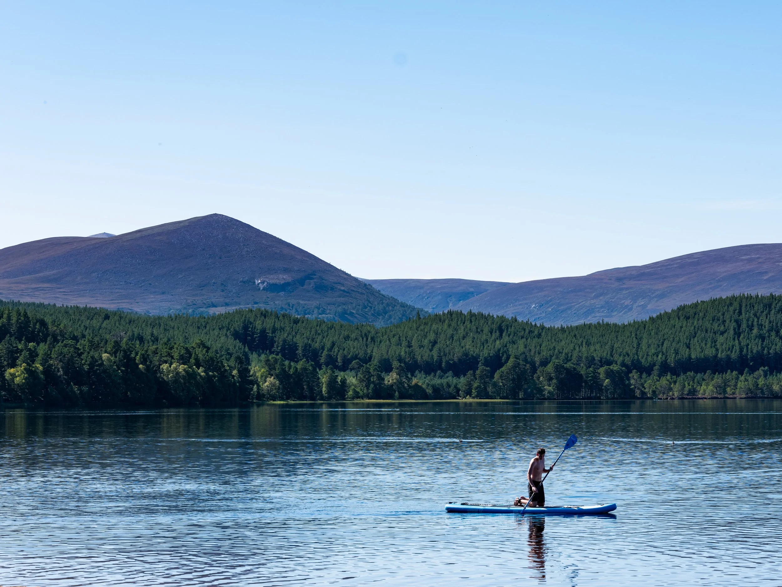 Person paddleboarding on a lake with a backdrop of mountains and forests, under a clear blue sky.