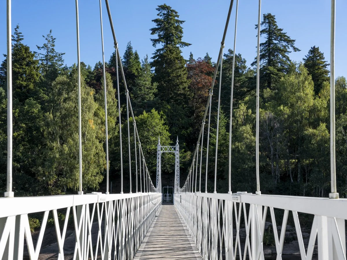 White suspension bridge with wooden planks spans over a river, surrounded by tall green trees under a clear blue sky.