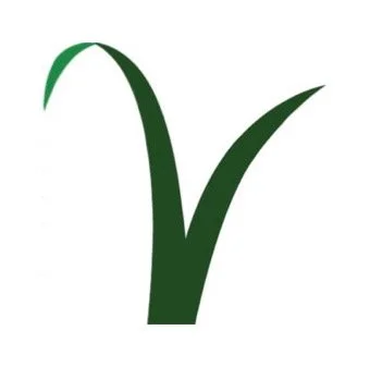 A stylized green checkmark or leaf design with curved lines.