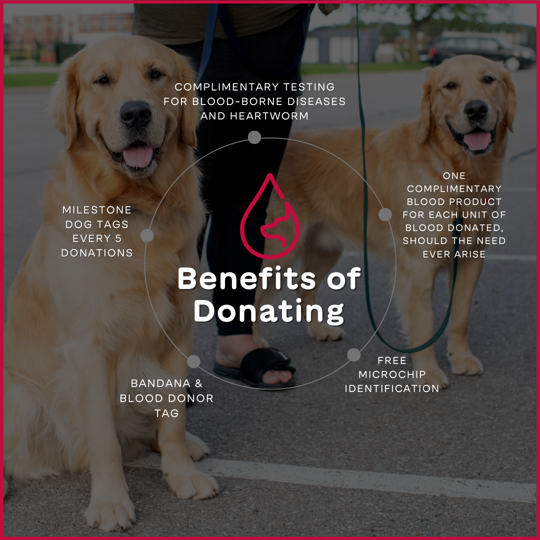 Benefits of Donating.png
