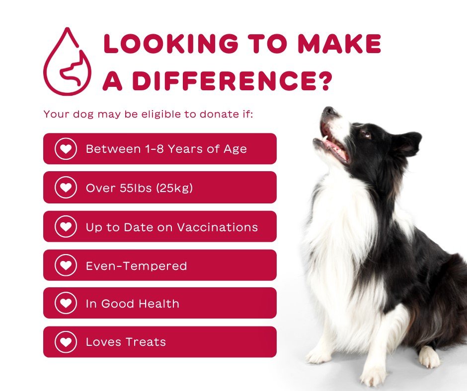 Donor Requirements.jpeg