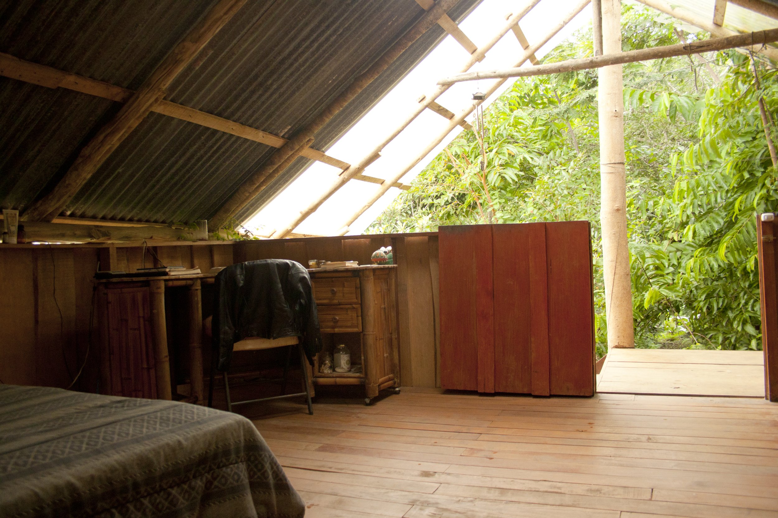 Jungle Suite 4.jpg