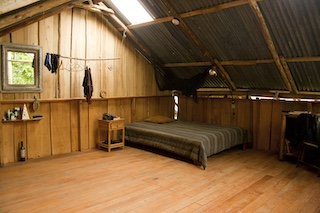 Jungle Suite 6.jpg