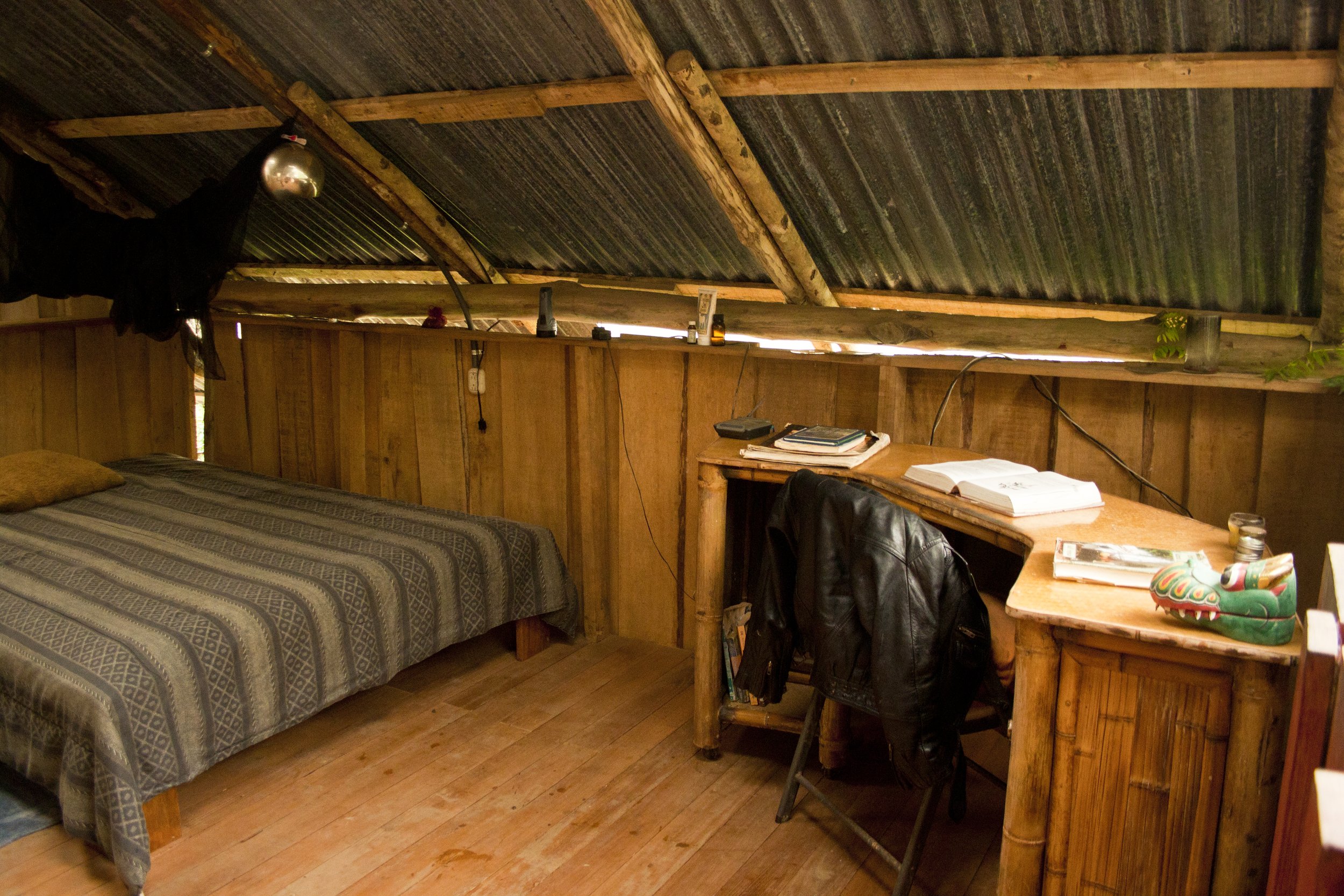 Jungle Suite 3.jpg