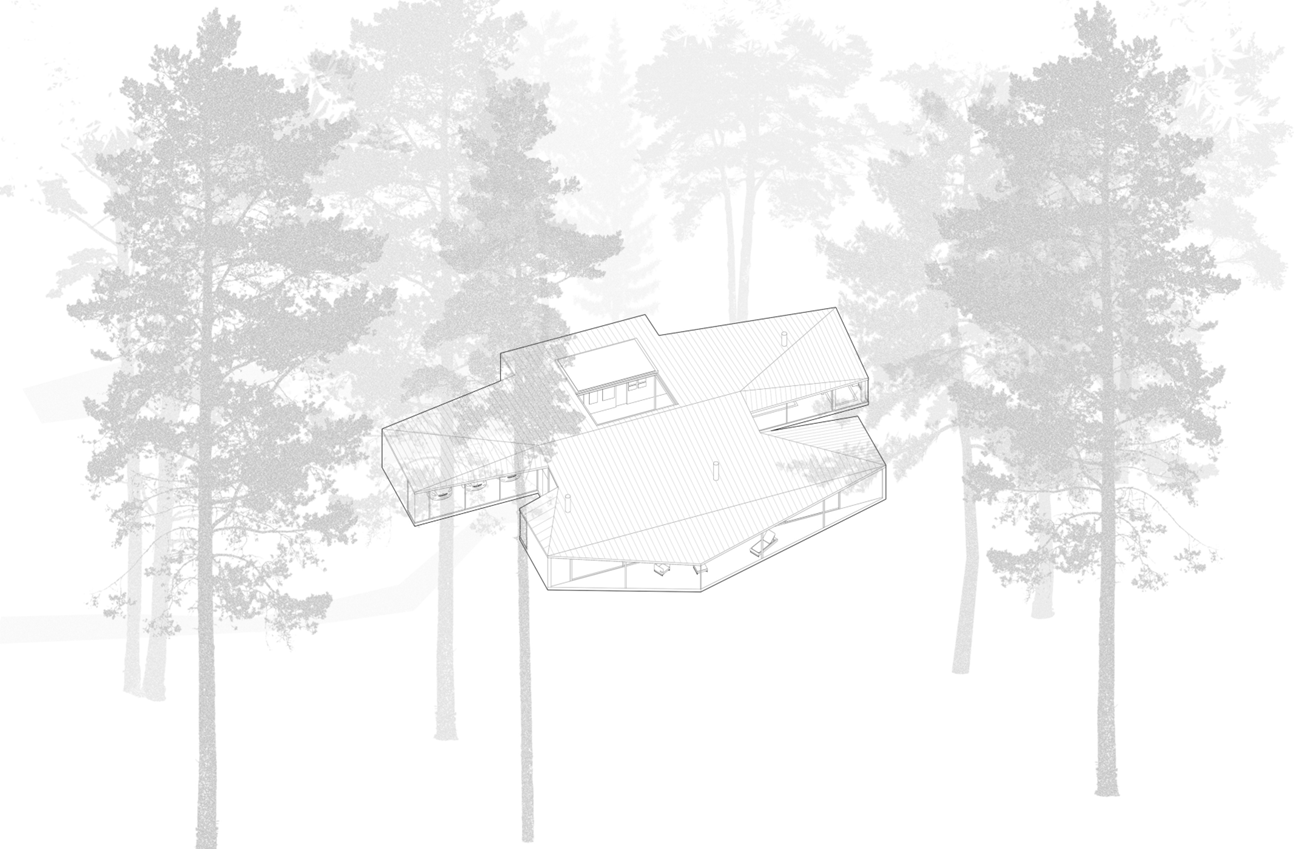 Multi-Pitched Roof Providing Shelter,
Konstancin-Jeziorna • 460 m² • 2019–2023