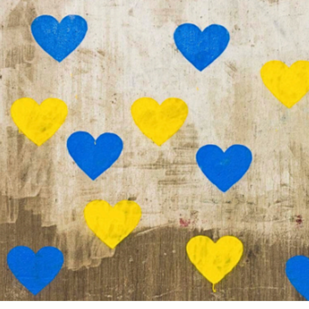 AI och funktionsrätt på Demokratidagarna