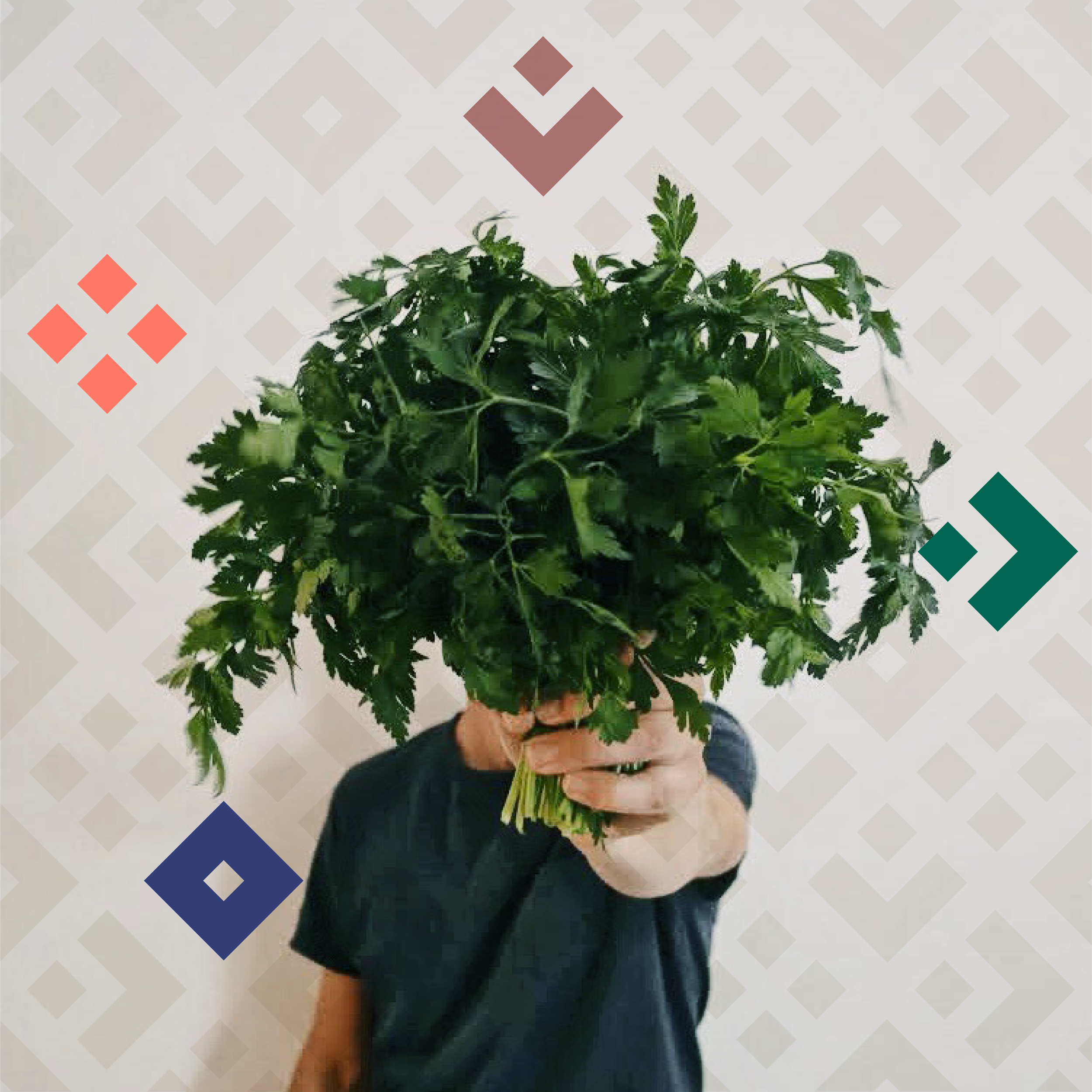 PERSIL-Instagram--20.png