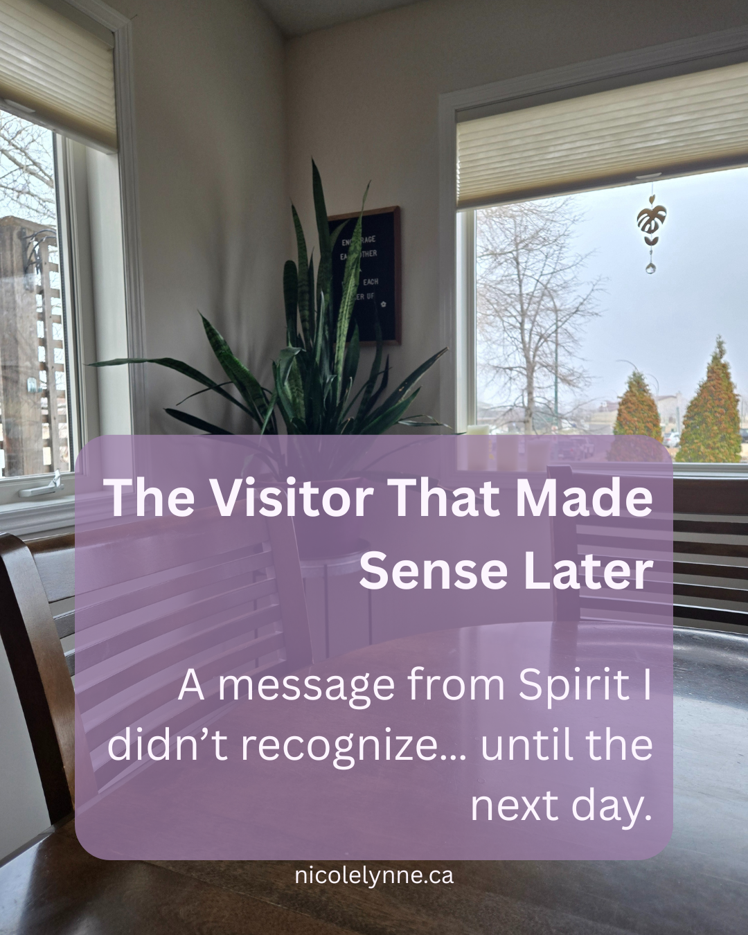 The Visitor That Made Sense Later