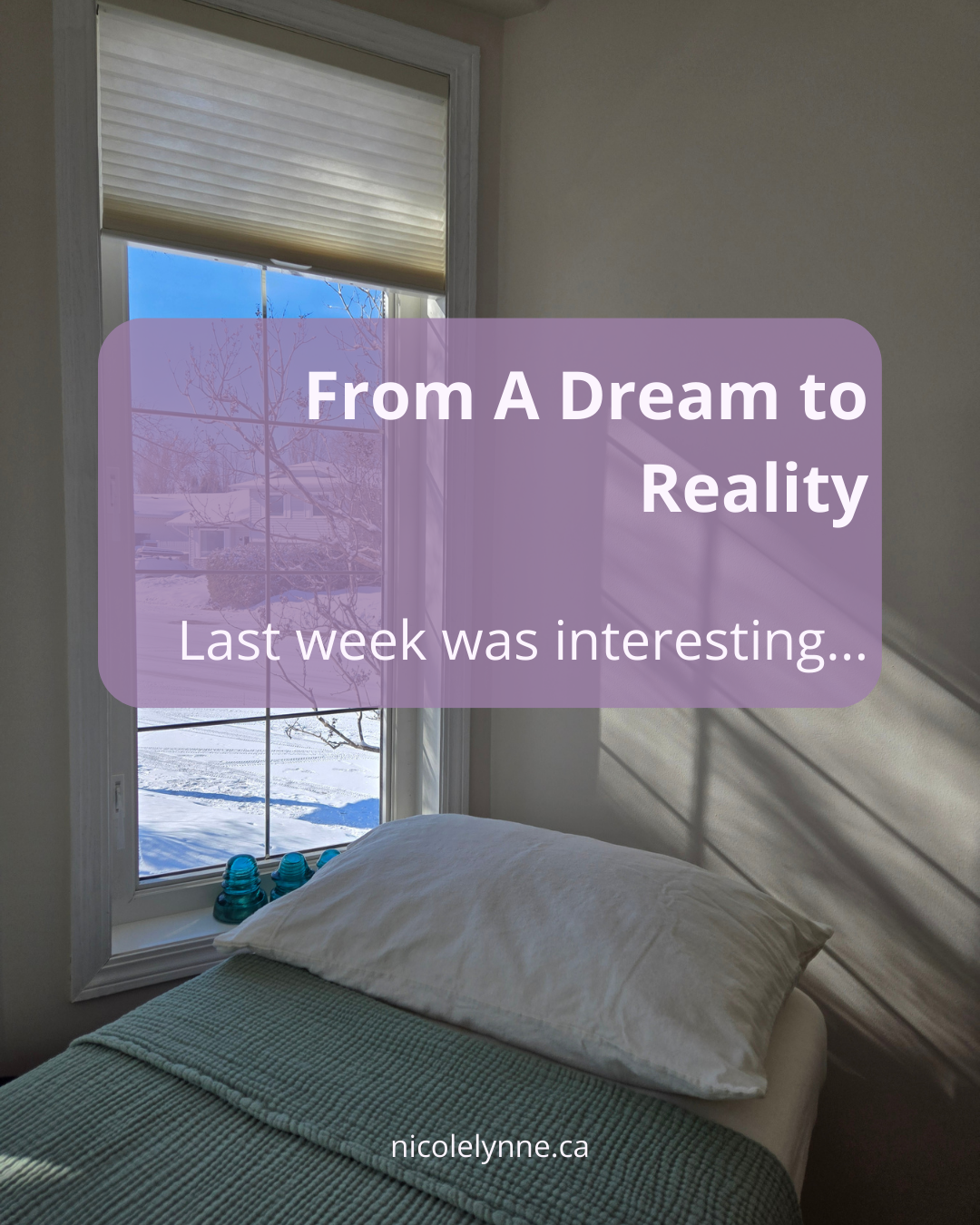 From A Dream to Reality