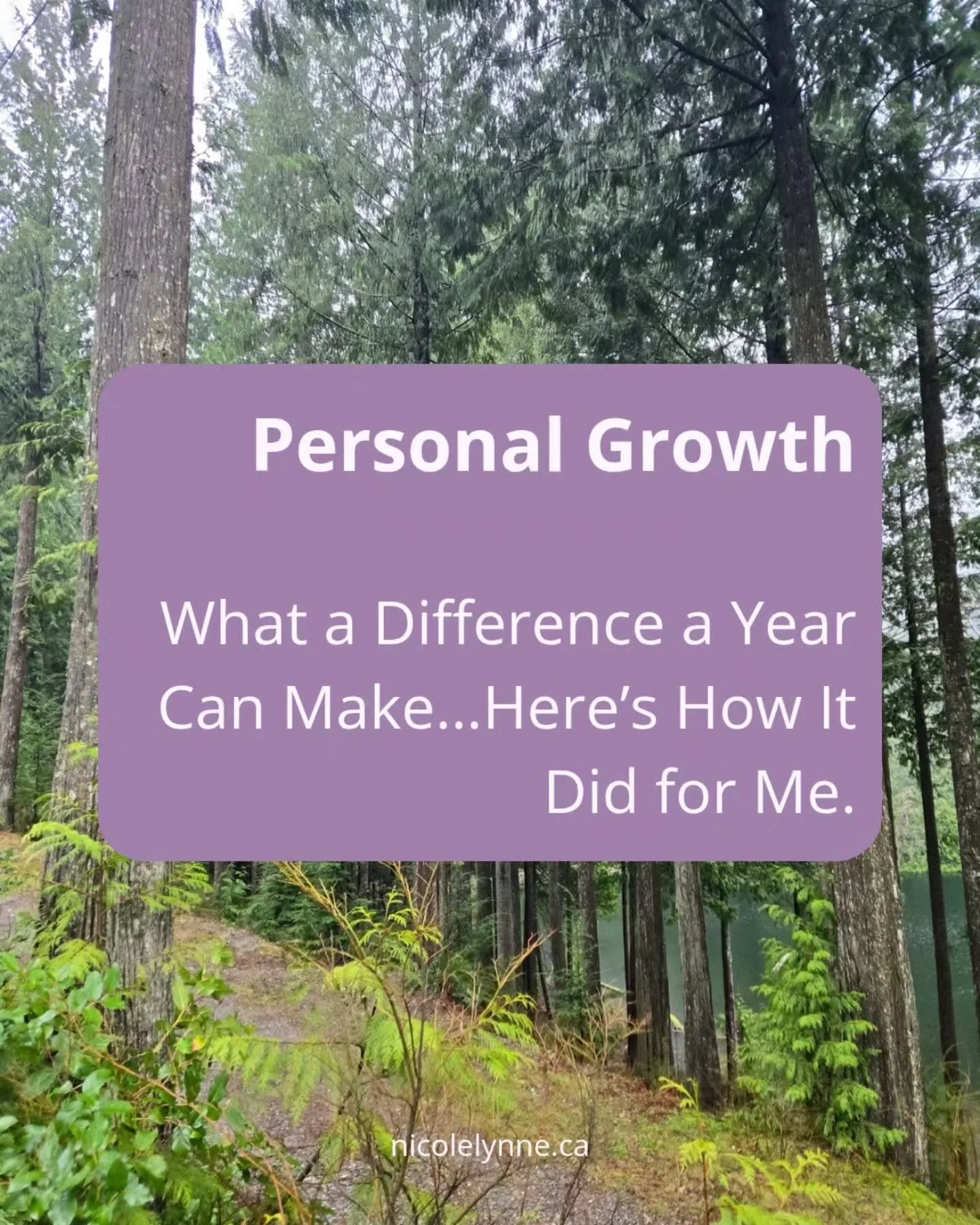 A year can make a big difference.

Last year, I arrived at this same retreat unsure of where my business was heading and what I truly wanted to offer. I was just beginning my doula work, and offering Reiki, and feeling hesitant to share my mediumship