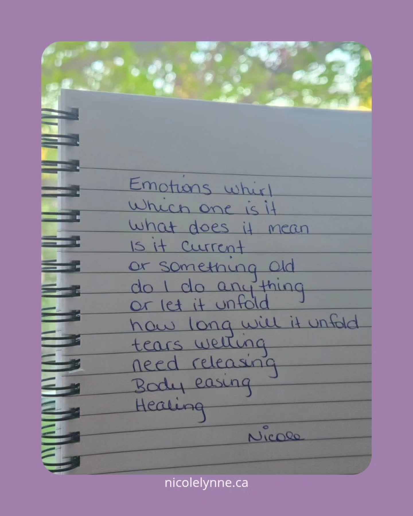 Healing takes time and effort. Some days things move more easily than others.

Monday, I was going through the motions of my day, unsure what I was feeling. Wondering if it was the new homeopathy remedies doing their work, along with Sunday&rsquo;s a