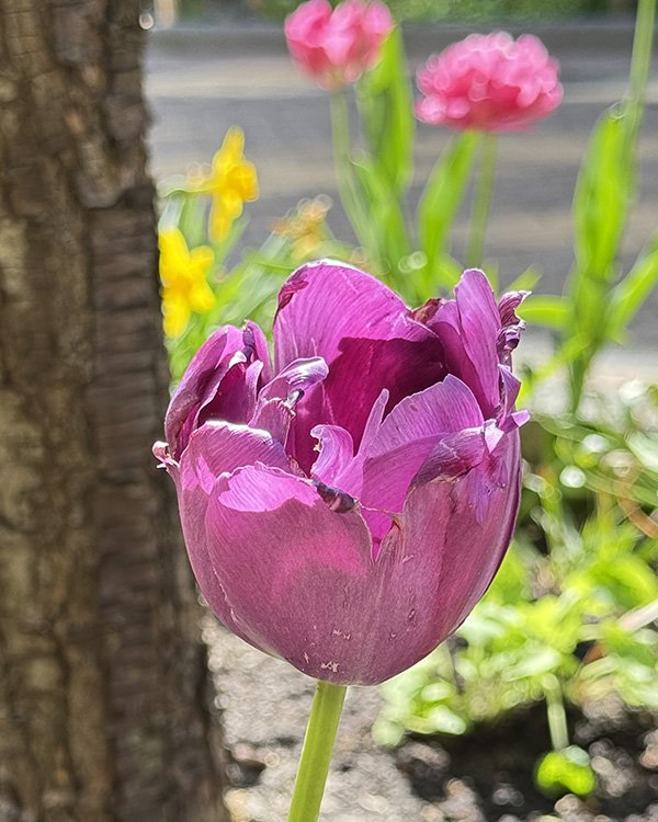 IMG_6757.jpg