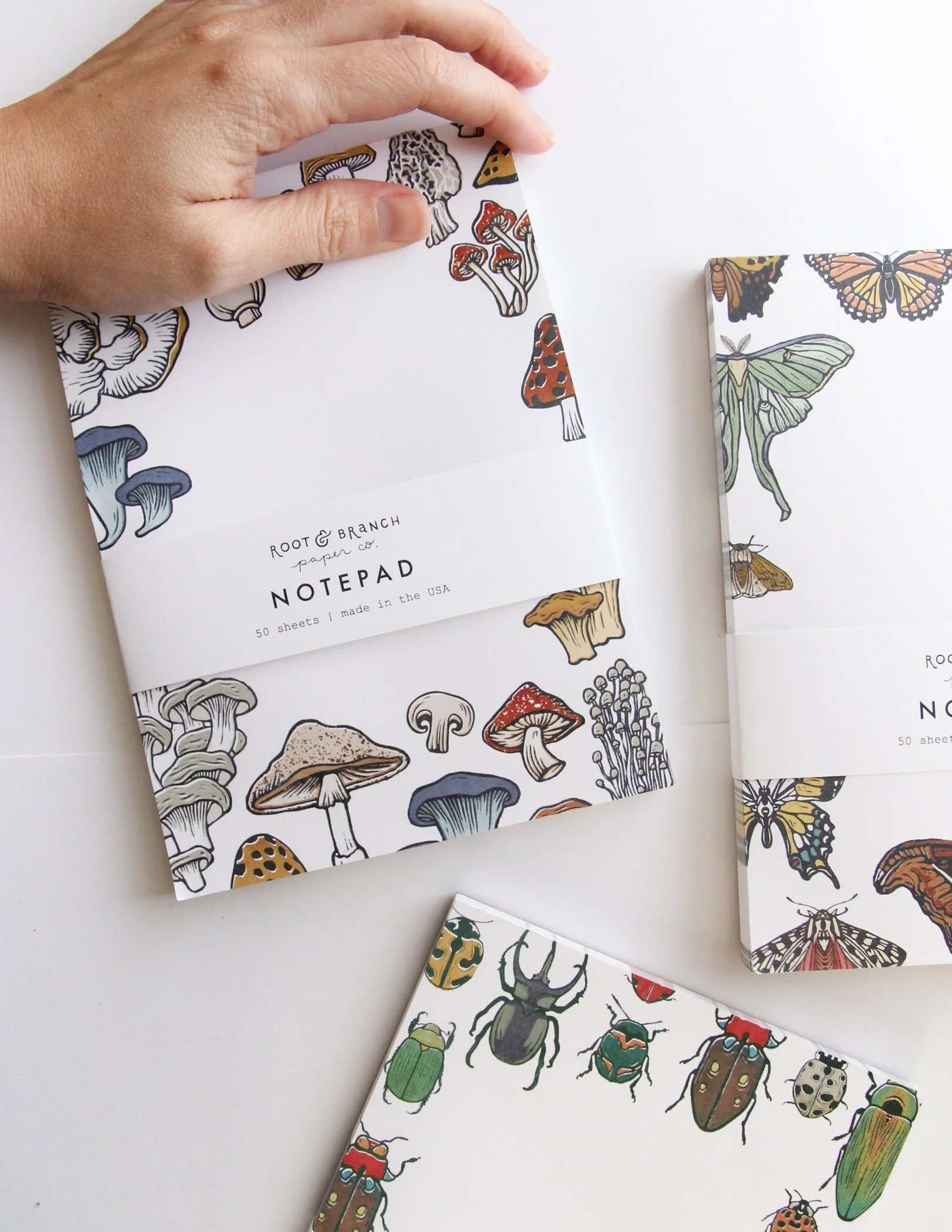 Tree Rings Notepad — Root & Branch Paper Co.