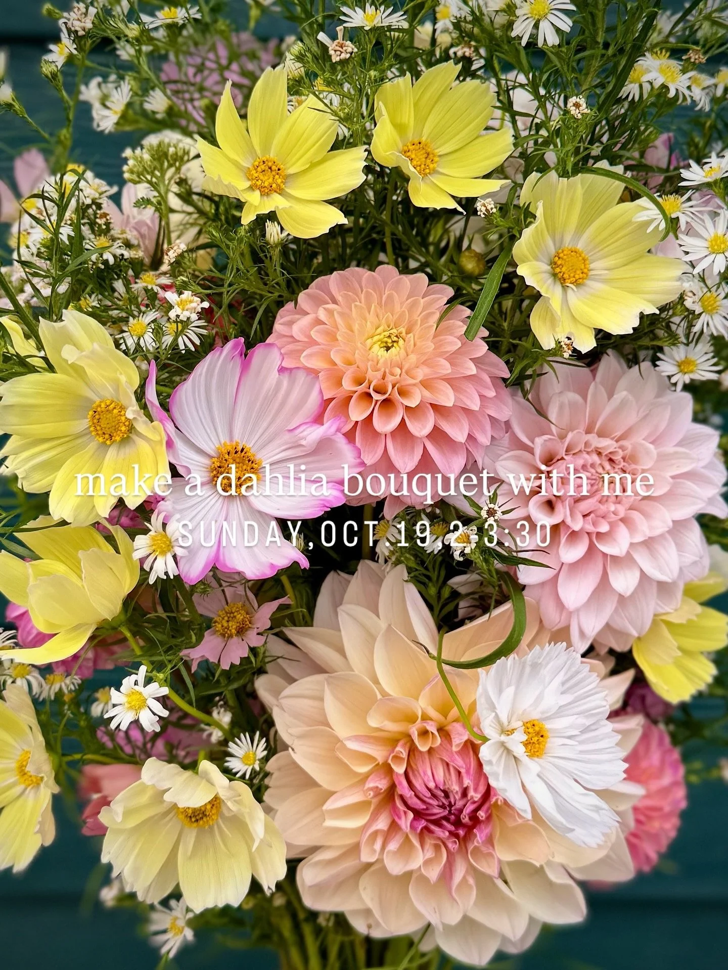 💐 make a dahlia bouquet with me! Sunday, October 19, 2-3:30pm at Longview Cottage in Homewood 

Tickets on sale now - only 3 seats left
longview-cottage.com/class
link in bio (classes &amp; workshops)
or DM me and I'll send you the link

Dahlias are