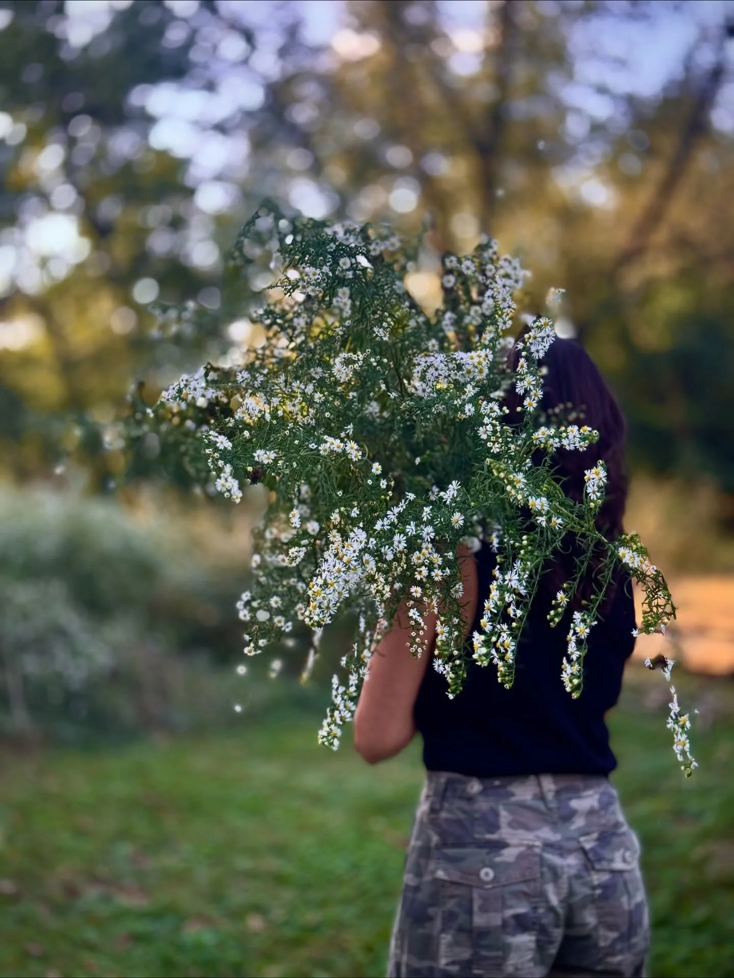 I've been keeping a secret. Photos for tax. 

I thought I'd tease the secret with a little photo homage to the iconic photography style of @floretflower. 

The book &quot;Cut Flower Garden,&quot; by Erin Benzakein of Floret Flower Farm, was my very f