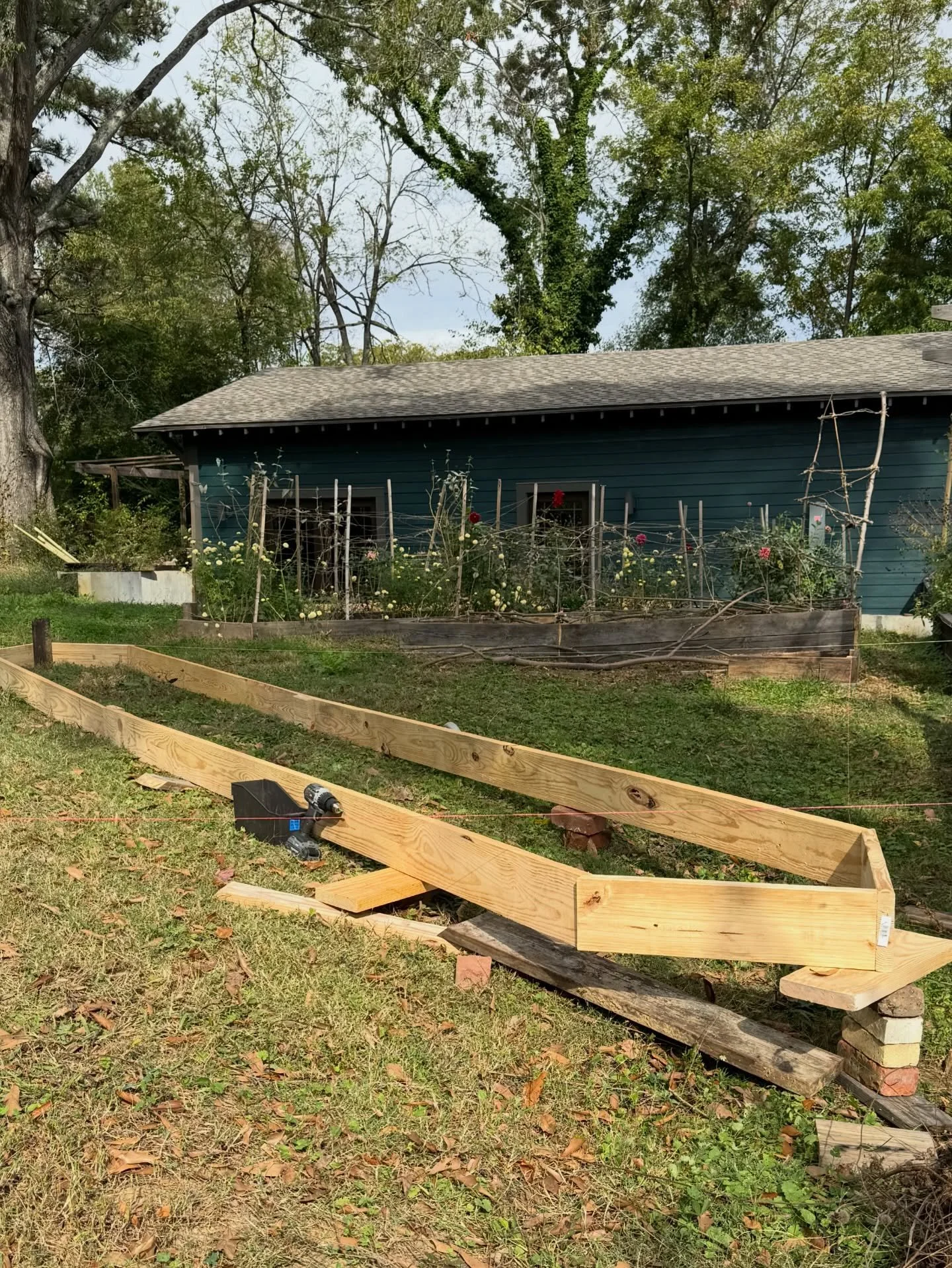 from root to bloom

#birminghamflowers #homewoodal #flowerfarm #seasonalflowers #slowflowers