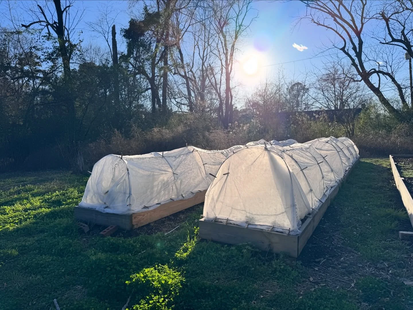 Shots of March doing March things🧋

#birminghamflowers #homewoodal #flowerfarm #seasonalflowers #slowflowers