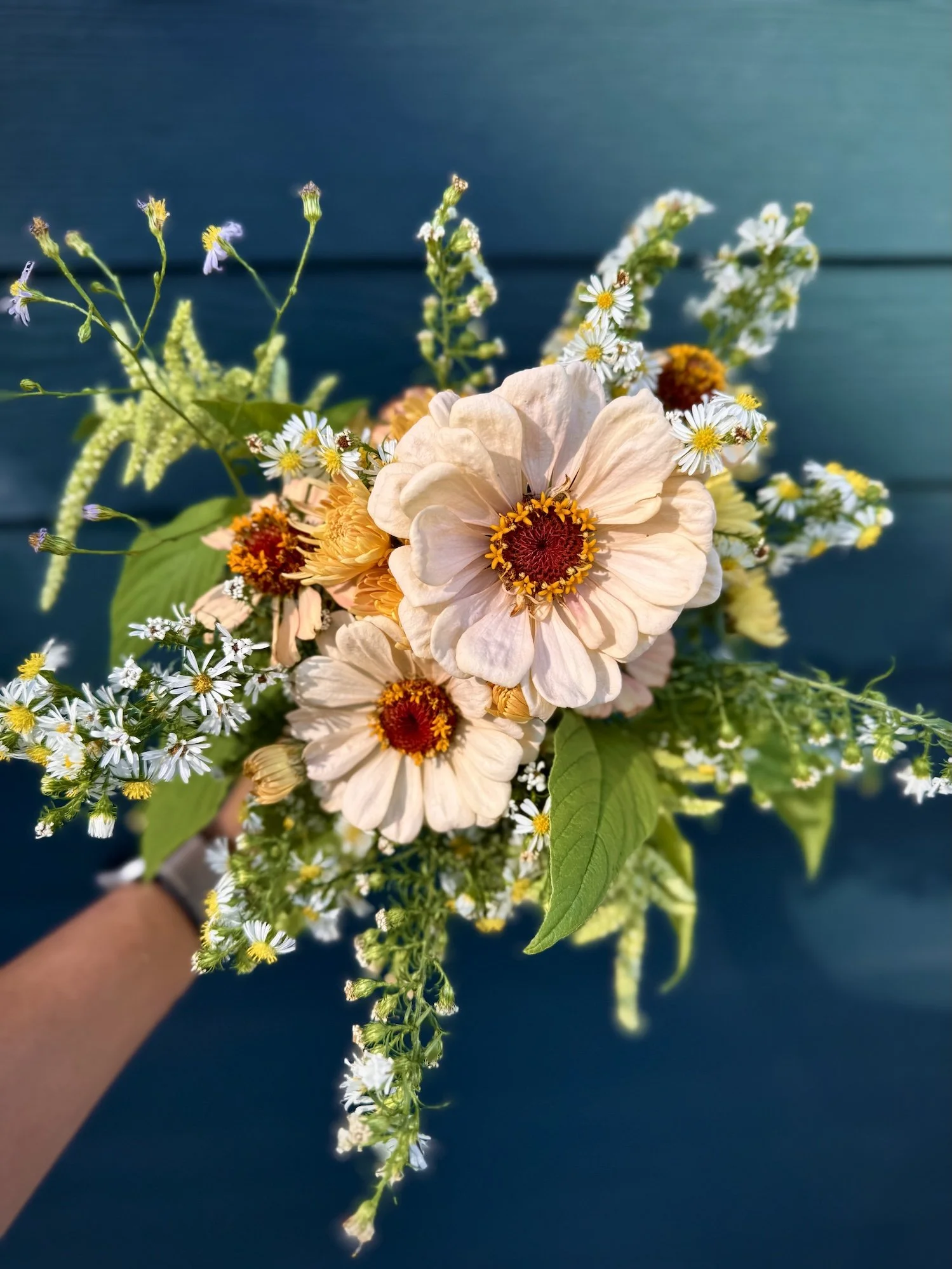 September: Whimsical Zinnias Subscription Preorder