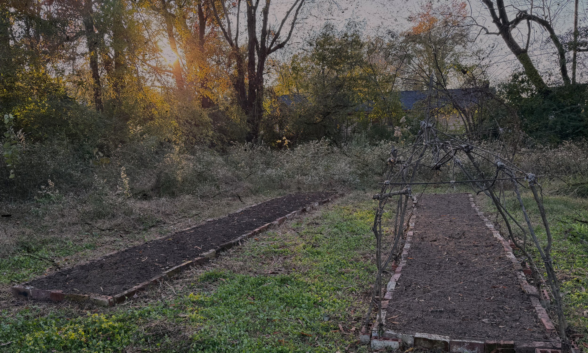 Empty flower field rows at dusk at Longview Cottage, prepared for winter planting in Birmingham, Alabama.