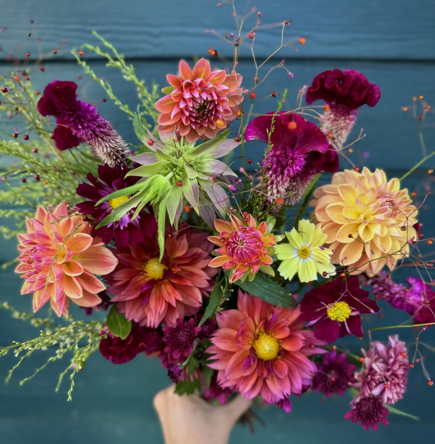 October: Designer Dahlias Subscription Preorder