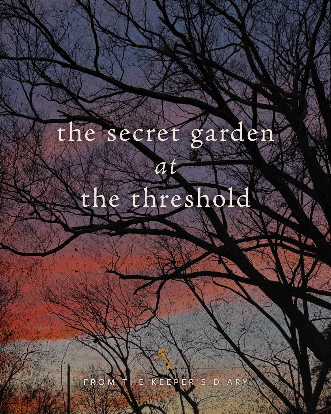 winter trees at the threshold of dusk in the secret garden of longview cottage