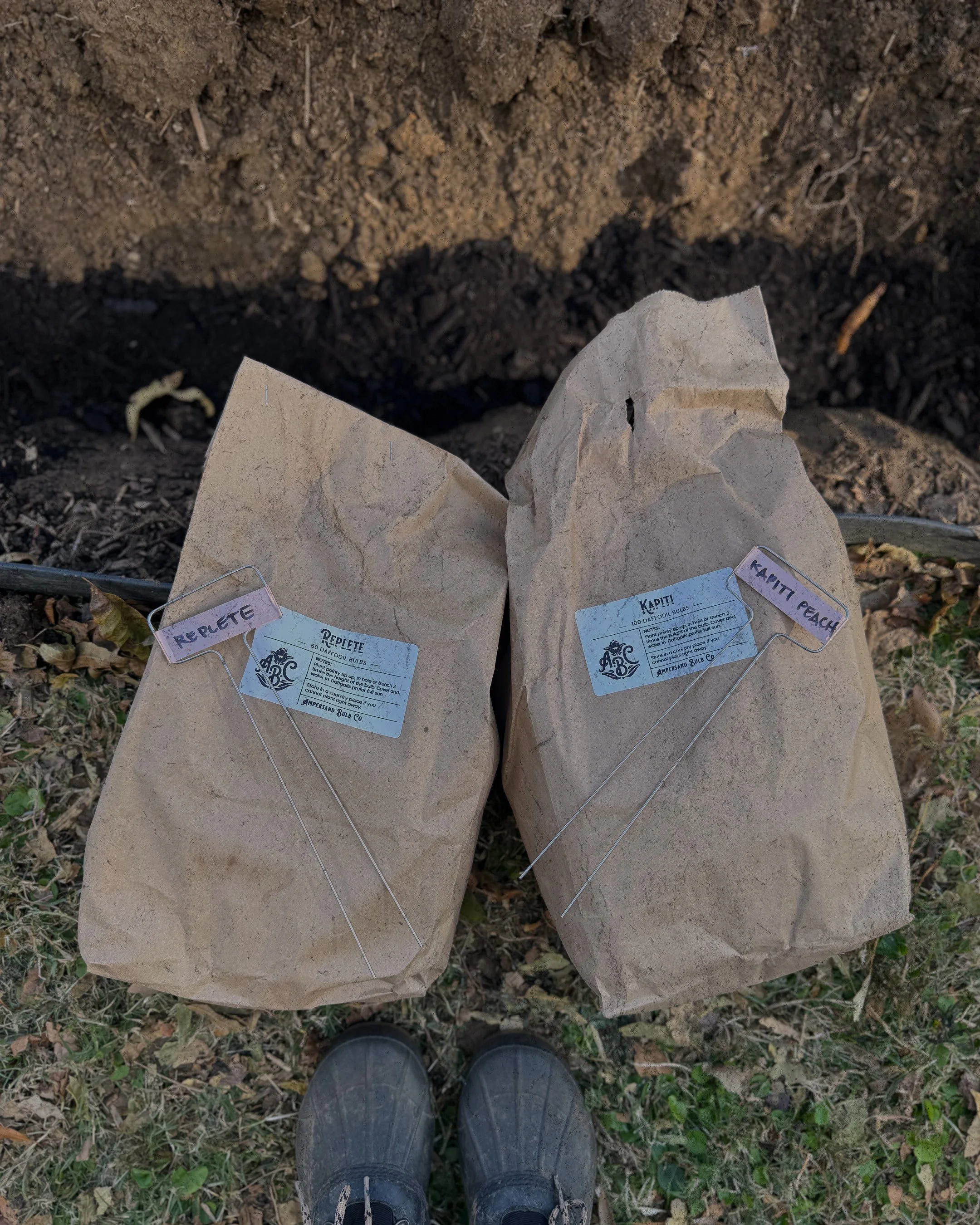 Paper-wrapped flower bulbs and handwritten labels resting beside garden beds at Longview Cottage.
