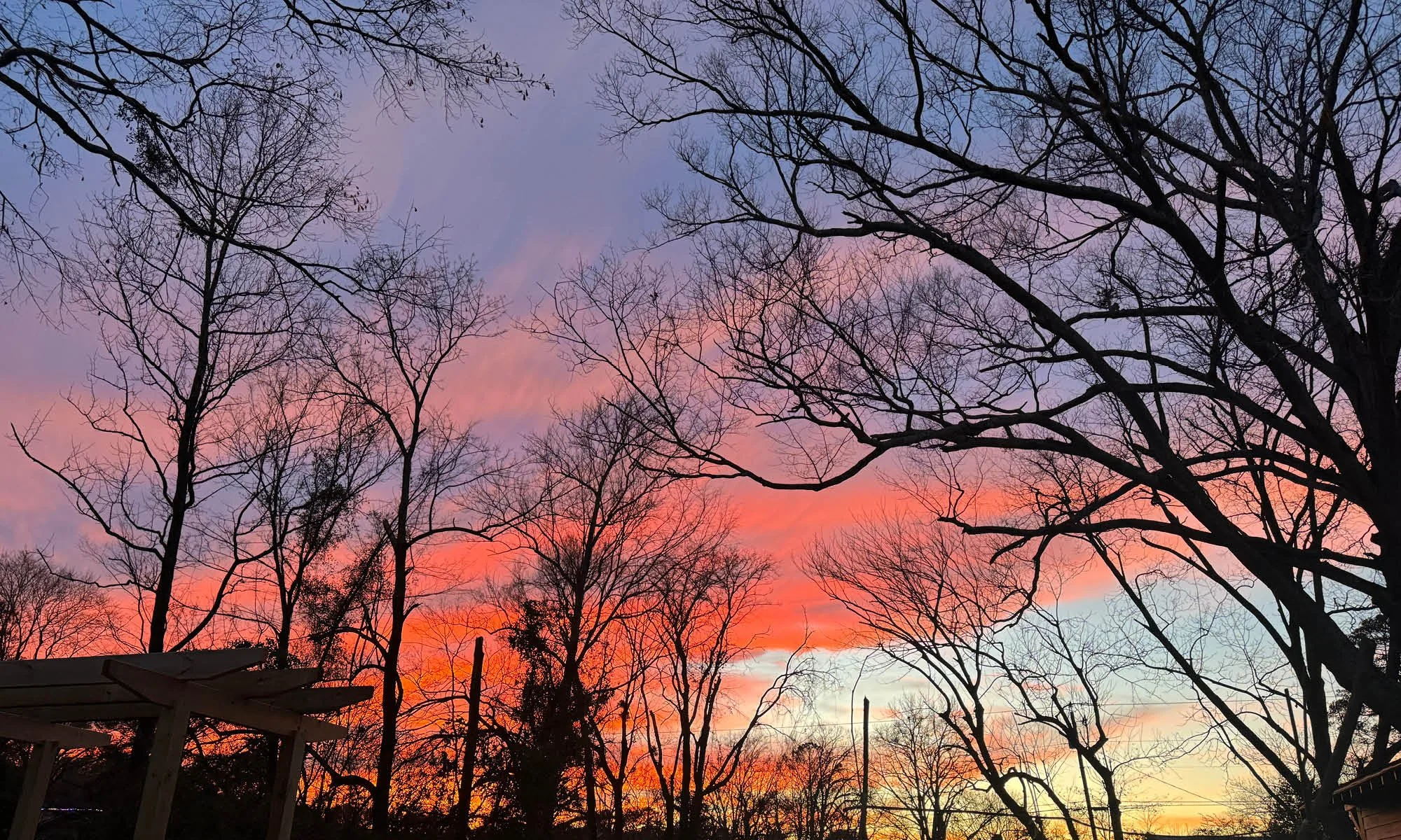 a winter solstice twilight sky and trees in the secret garden of longview cottage