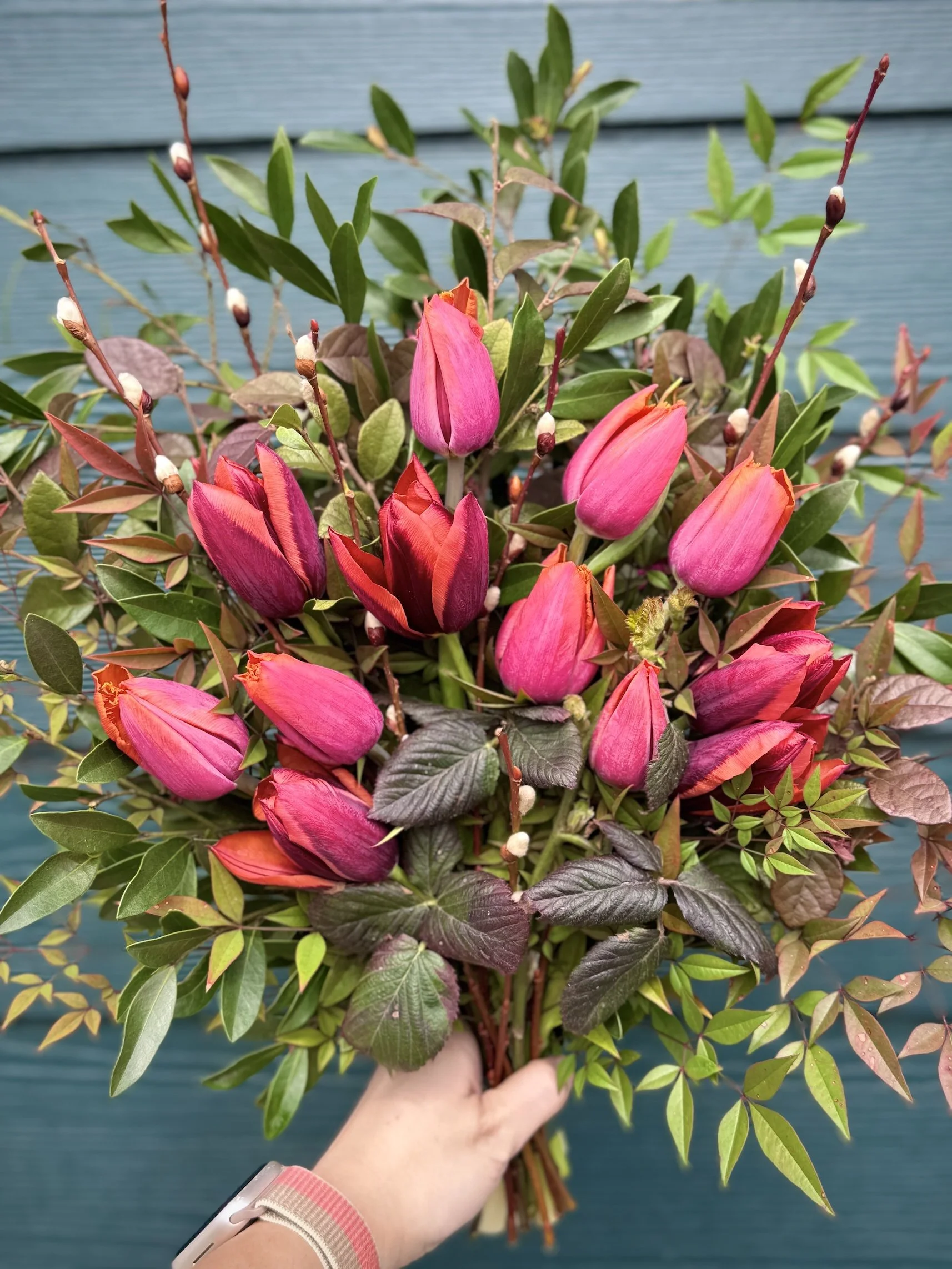 March: Peculiar Tulips Subscription Preorder