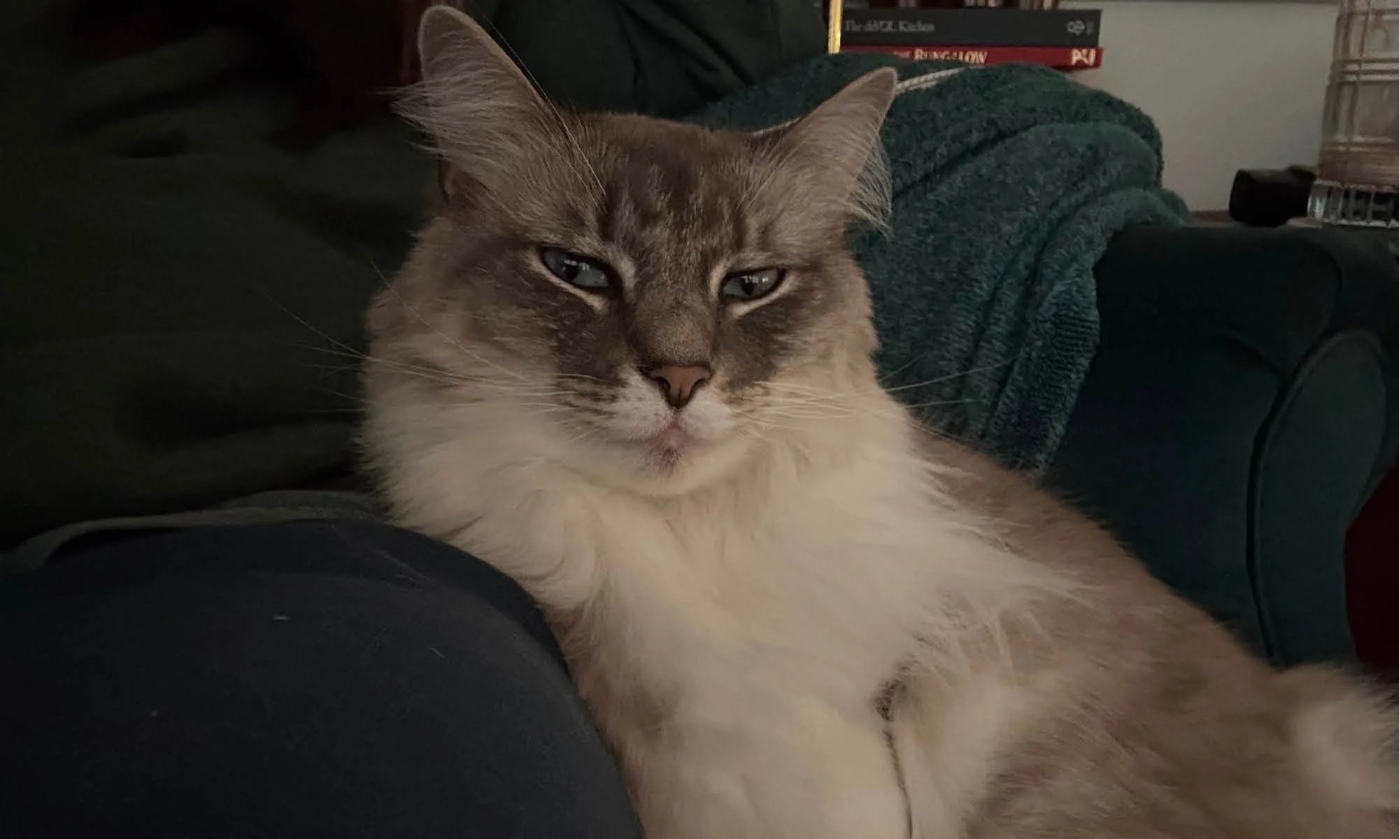 Sokka in his hearthside chair at the longview cottage in birmingham alabama