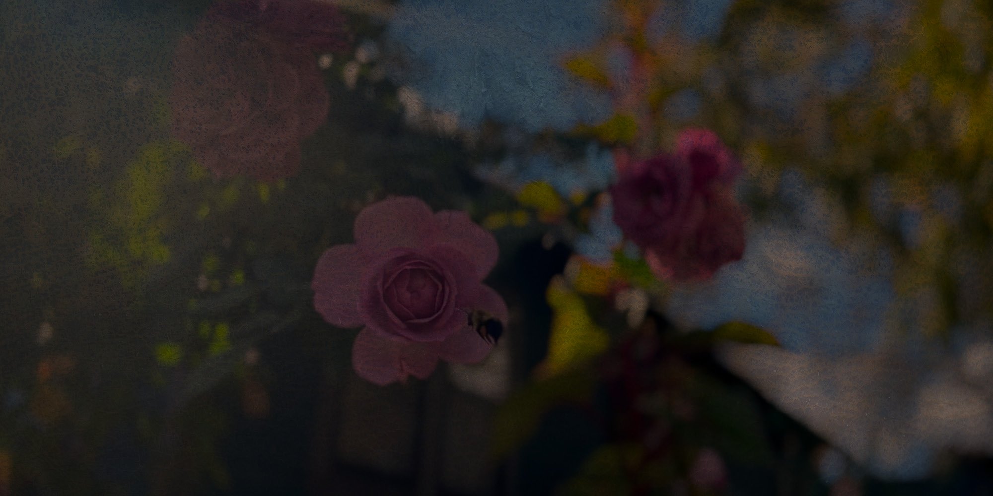 bee-bg_antique_01.jpg